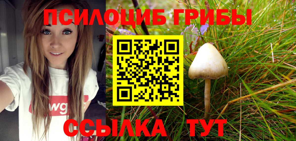 Галлюциногенные грибы Cubensis  Вход с VPN  Псилоцибиновые грибы Psilocybe  Урай 